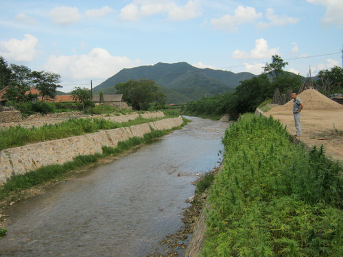 护岸